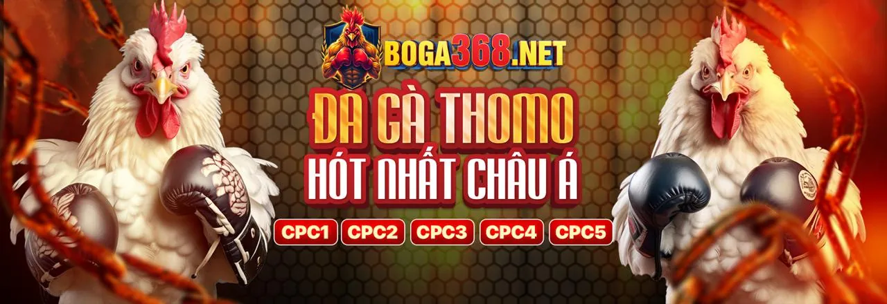 Các chương trình khuyến mãi độc quyền của vn123 app